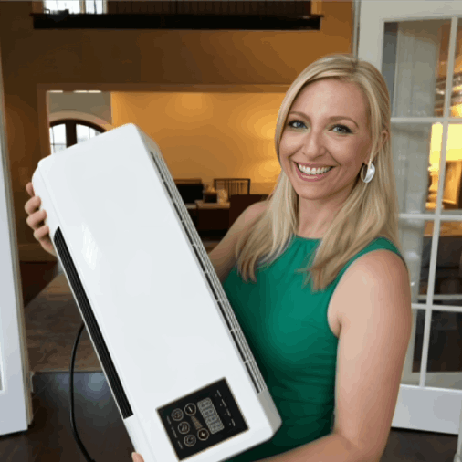 BlizzAir Portable AC customer review Sarah